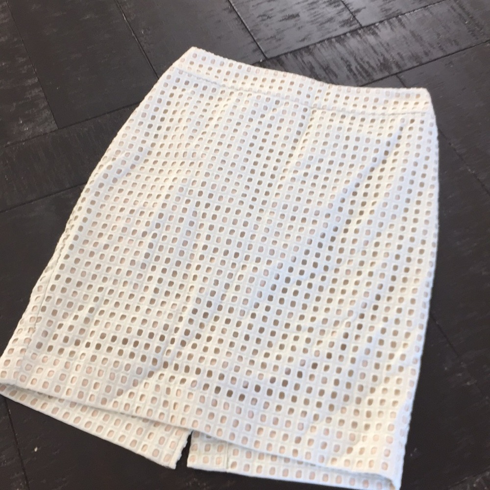 Ann Taylor 0 Petite NWT Skirt